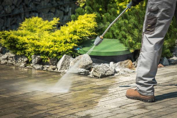 Animal Enclosure Cleaning in Burkburnett, TX